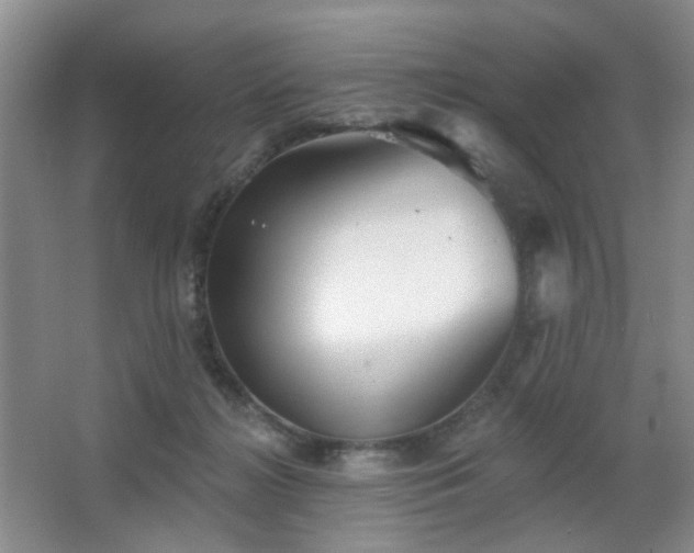 X0000066930268200603241124
