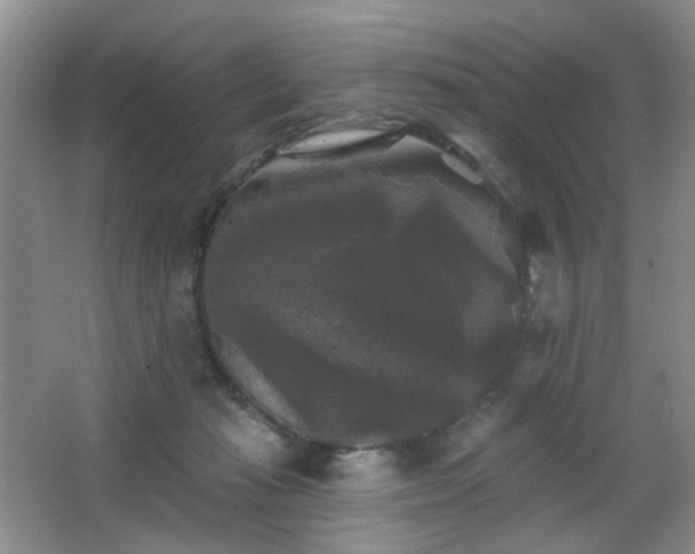 X0000066930269200603241124