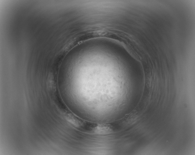 X0000066930270200603241124