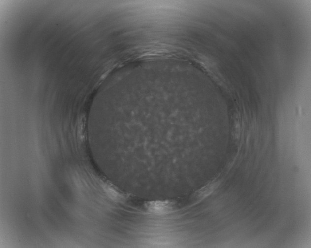 X0000066930273200603241124