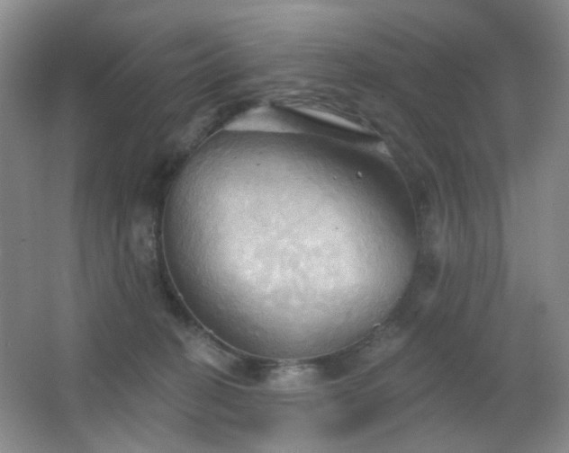 X0000066930274200603241124