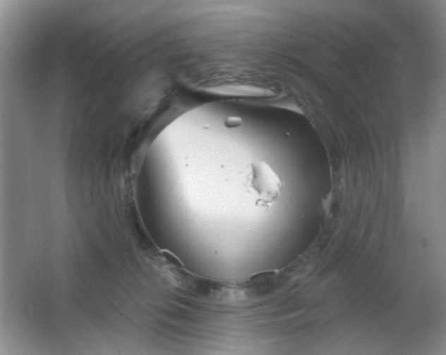 X0000066930276200603241124