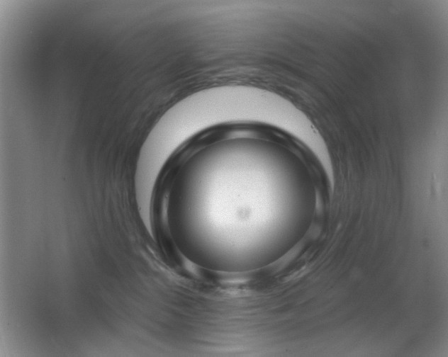 X0000066930284200603241124