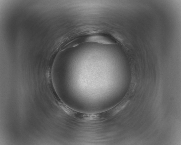 X0000066930288200603241124