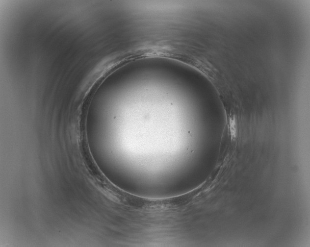 X0000066930291200603241123