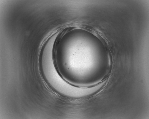 X0000066930293200603241123