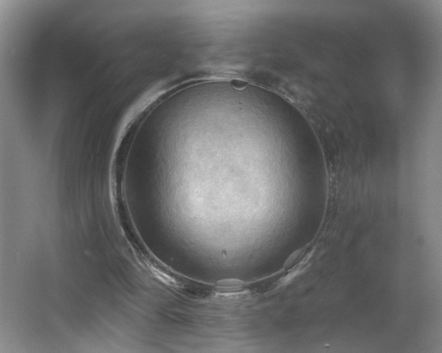 X0000066930294200603241123