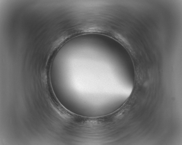 X0000066930298200603241123