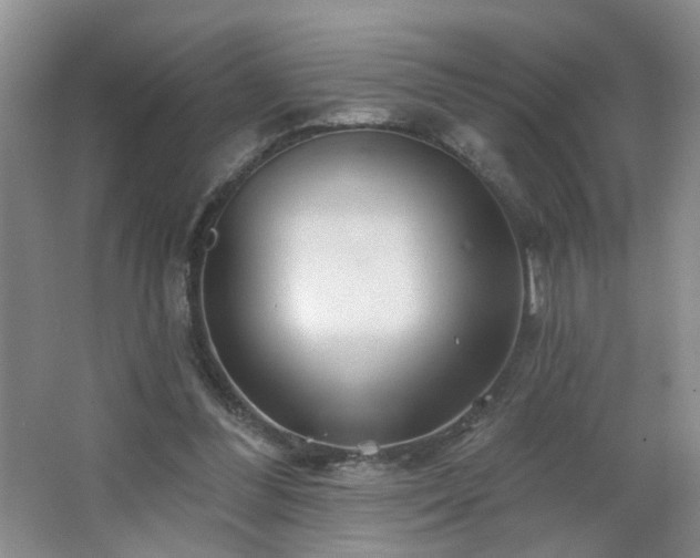 X0000066930300200603241123