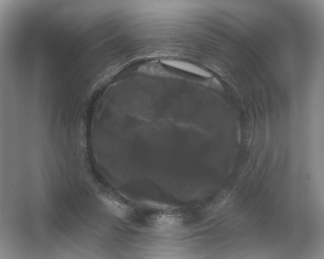 X0000066930303200603241123
