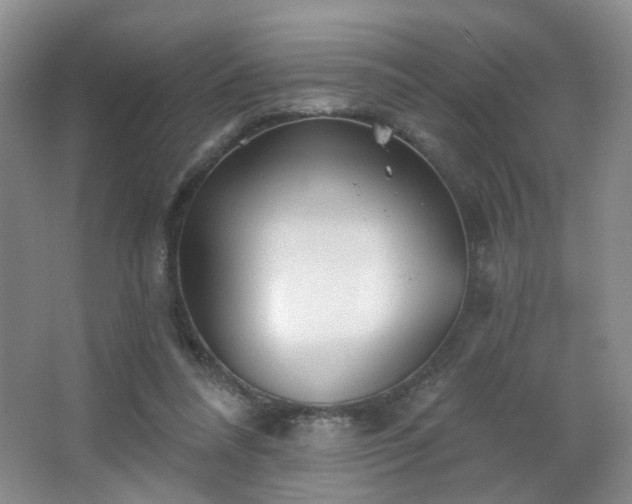 X0000066930304200603241123