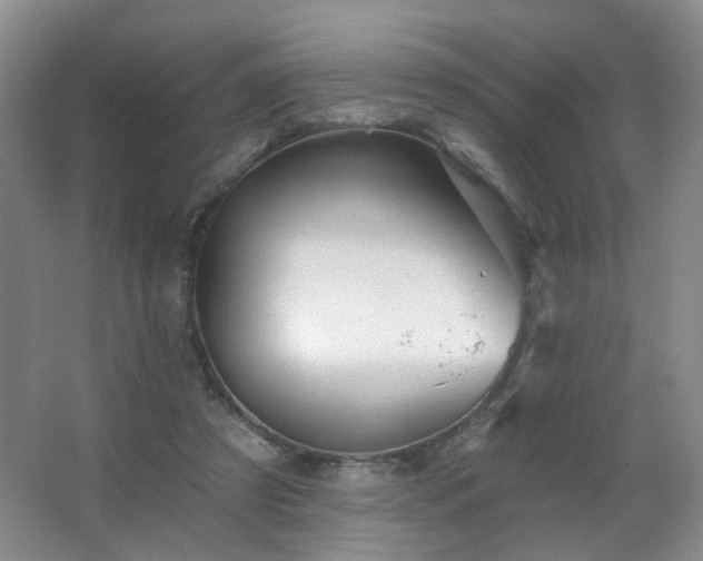 X0000066930305200603241123