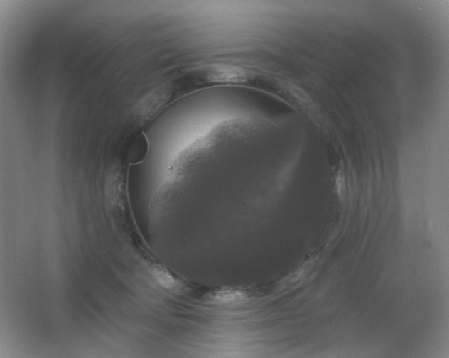 X0000066930322200603241123