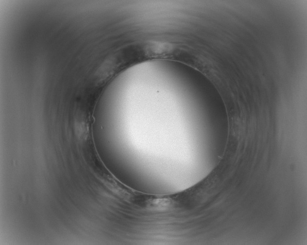 X0000066930324200603241123