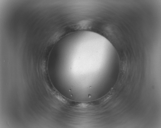 X0000066930326200603241123