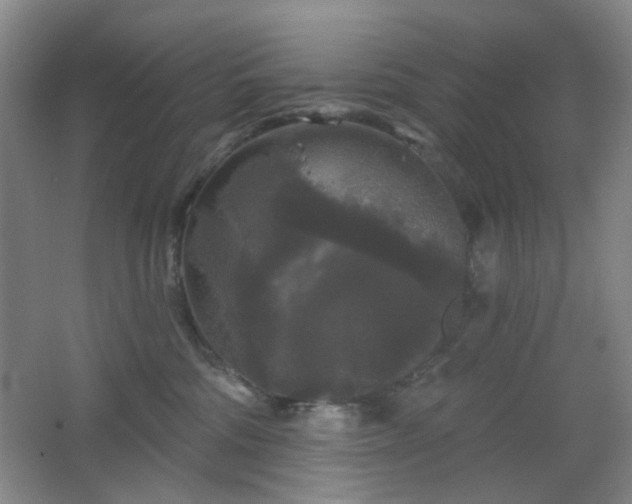 X0000066930330200603241122