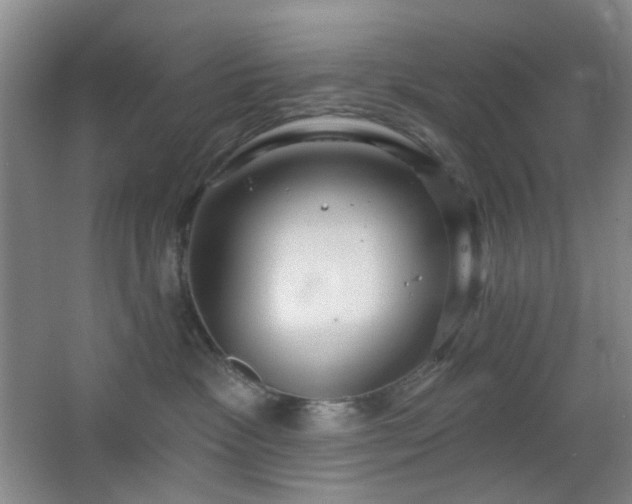 X0000066930333200603241122