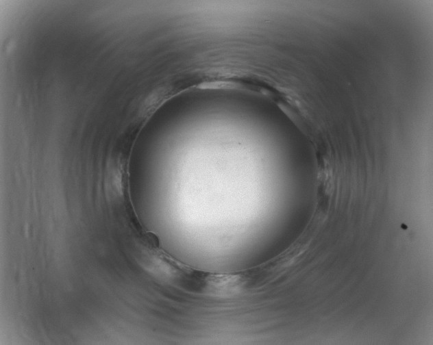 X0000066930334200603241122