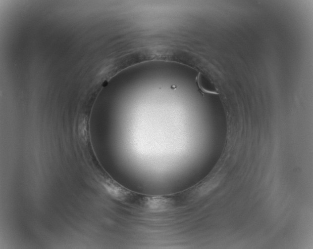 X0000066930336200603241122