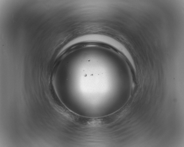 X0000066930362200603241122