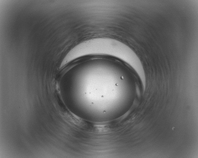 X0000066930376200603241122
