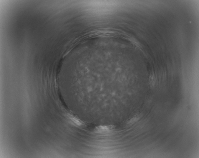 X0000066930381200603241122
