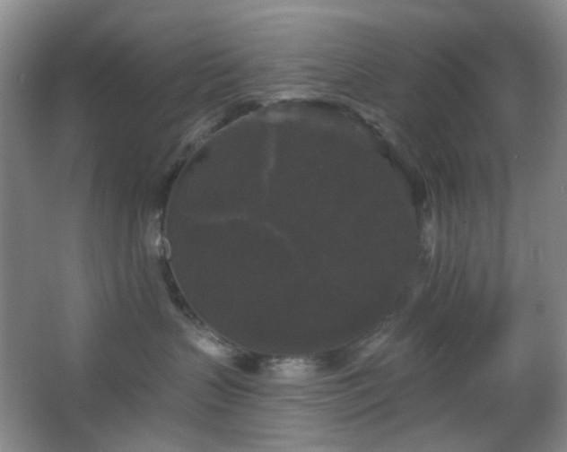 X0000066930383200603241122