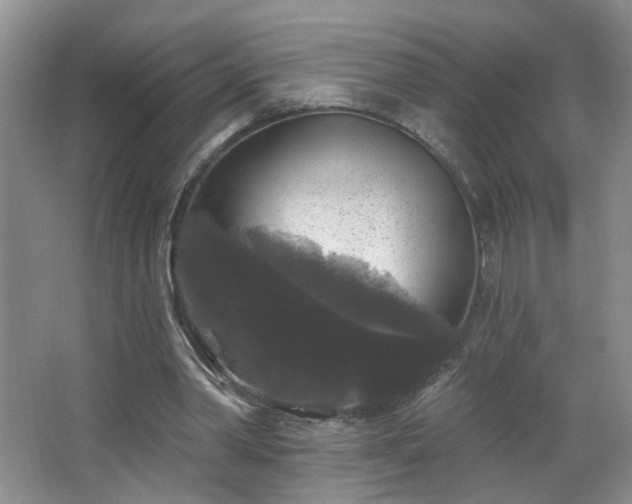 X0000066930390200603241121