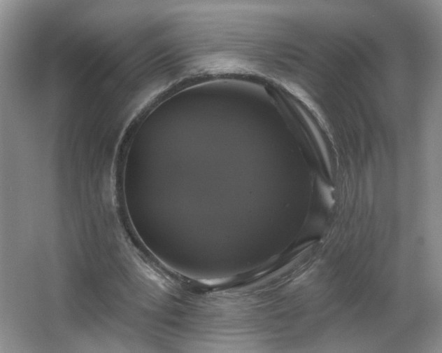 X0000066930391200603241121