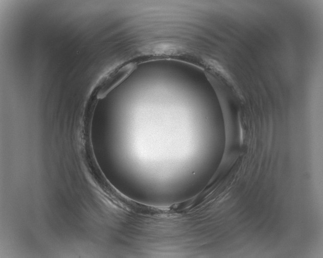 X0000066930392200603241121