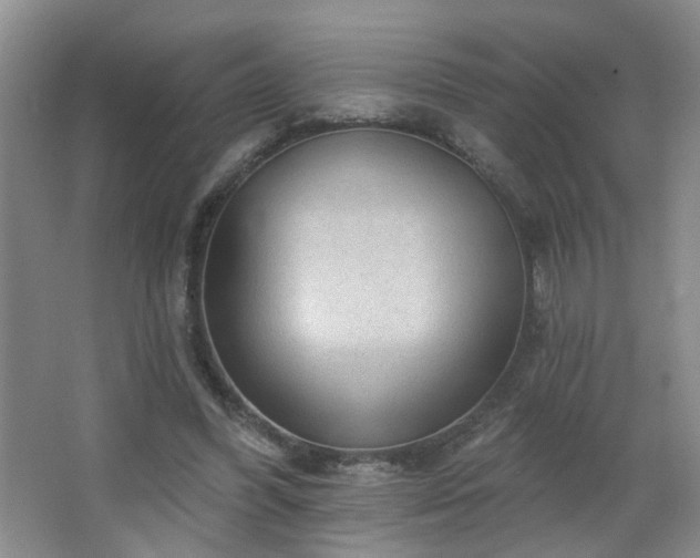 X0000066930396200603241121