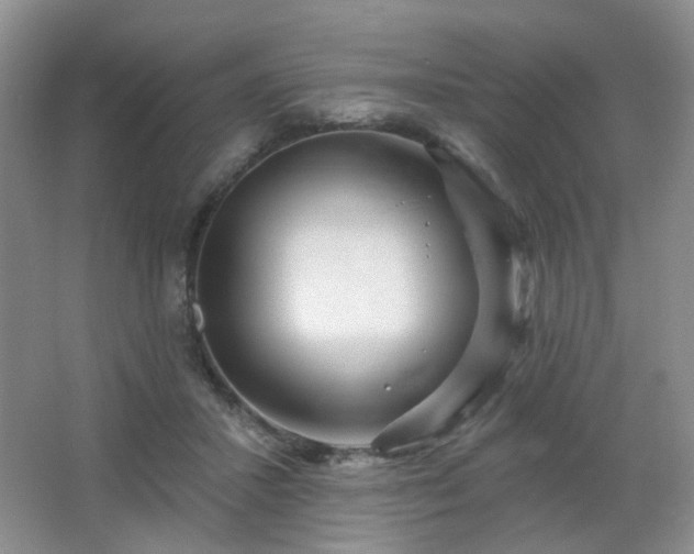 X0000066930407200603241121