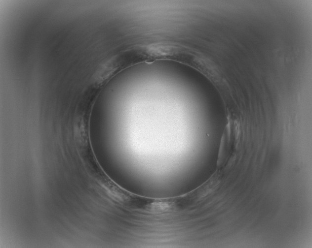 X0000066930418200603241121