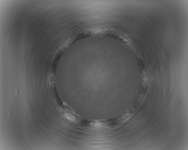 X0000066930419200603241121