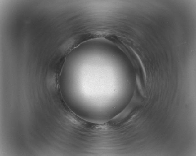 X0000066930428200603241121
