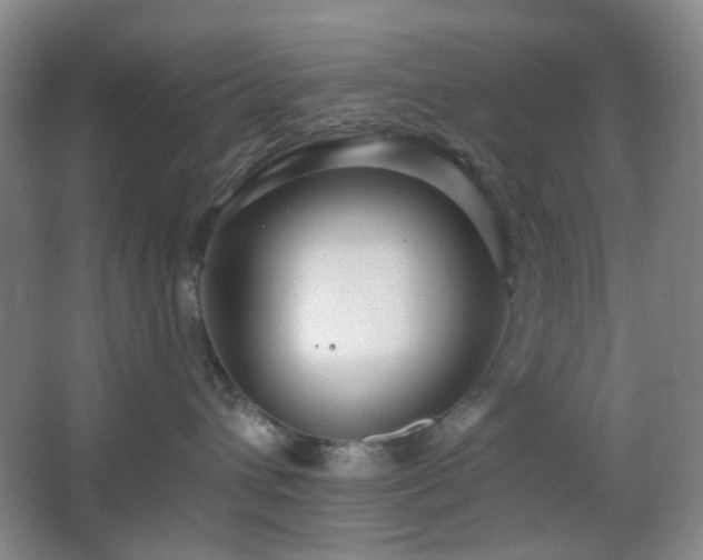 X0000066930432200603241121