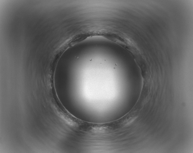 X0000066930450200603241120