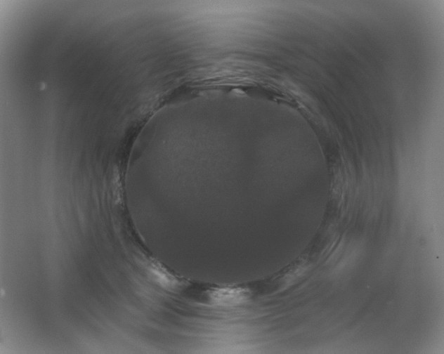 X0000066930465200603241120