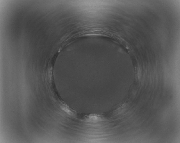X0000066930475200603241121