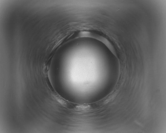 X0000066930480200603241121