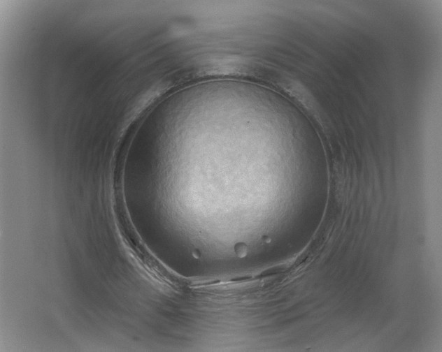 X0000066930482200603241120