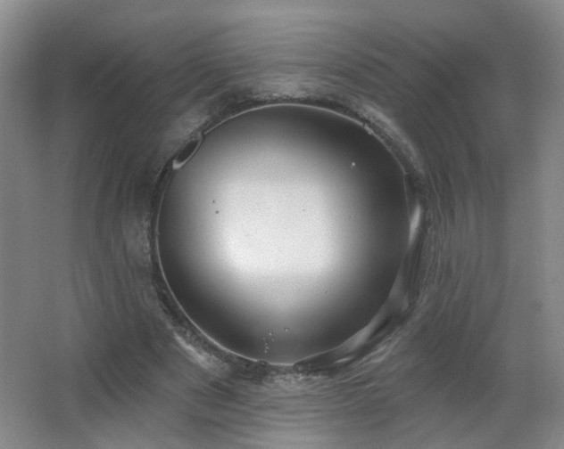 X0000066930489200603241120