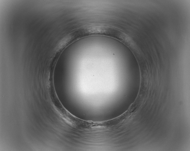 X0000066930490200603241120