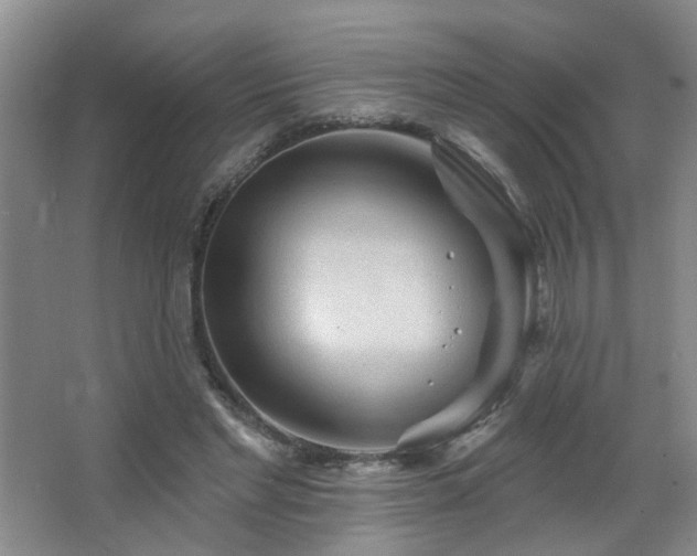 X0000066930493200603241120
