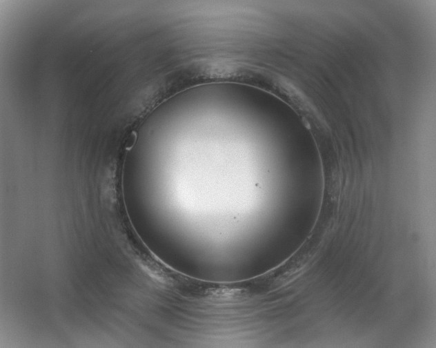 X0000066930497200603241120