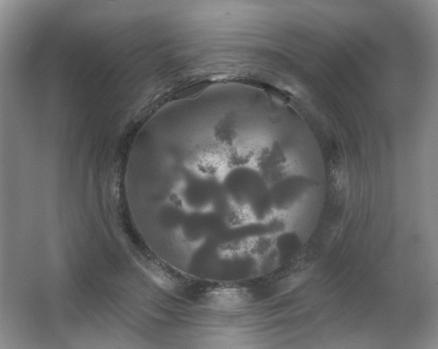 X0000066930499200603241120