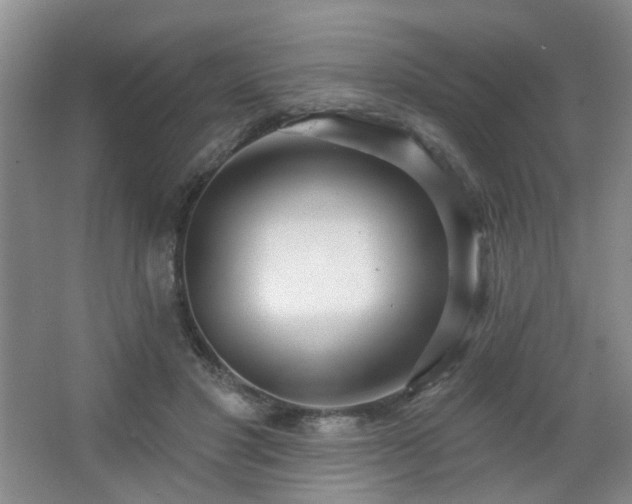 X0000066930501200603241120