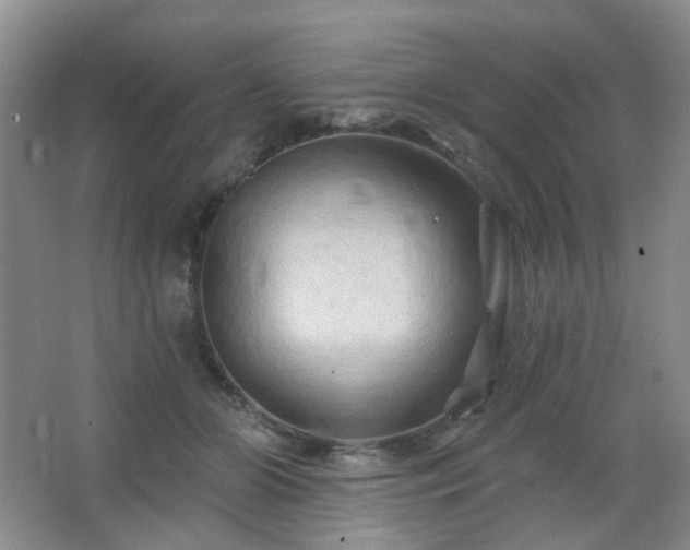 X0000066930510200603241119