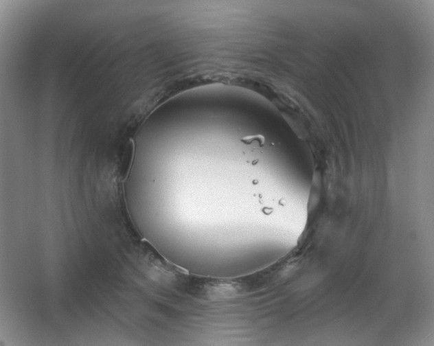 X0000066930513200603241119