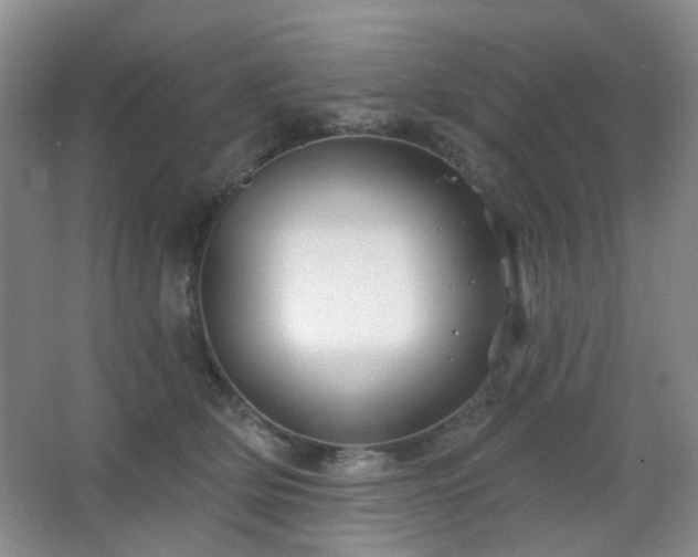 X0000066930514200603241119